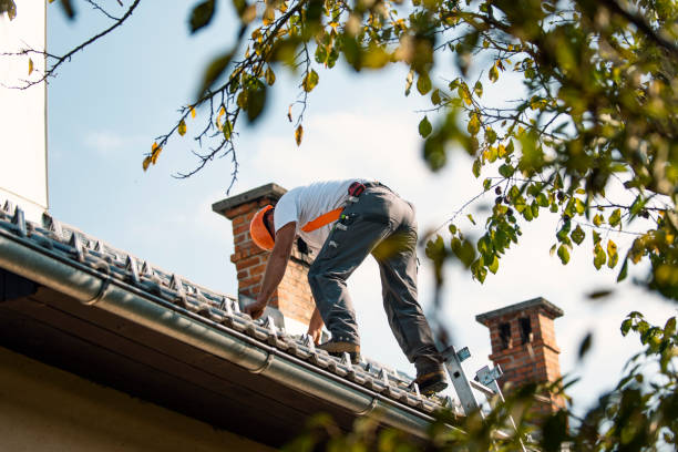 Best Roof Gutter Cleaning  in Crowley, LA